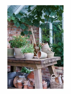 Alison -ruukku ja aluslautanen 25 x 23 cm