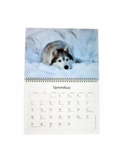 Animal-vuosikalenteri 2025