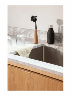 Astianpesuharja tammivarrella