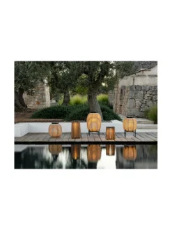 Aurinkokennovalaisin Tika 59 cm, Camel