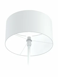 Austin-lattiavalaisin