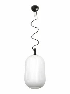 Bloom-riippuvalaisin