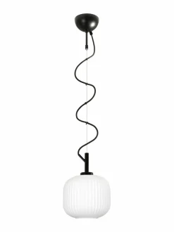 Bloom-riippuvalaisin