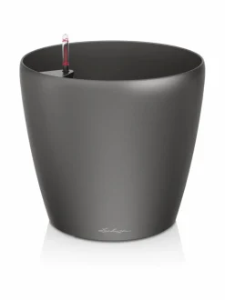 Classiko LS Tummaharmaa Altakasteluruukku ∅35cm, korkeus 33cm