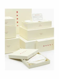 Dark Viola -ruokalautanen 2 x 28 cm