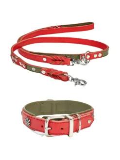 Edelweiss kaulapanta ja talutushihna