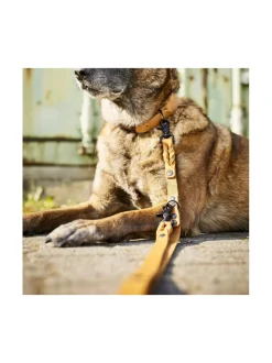 Giro talutushihna 2 m