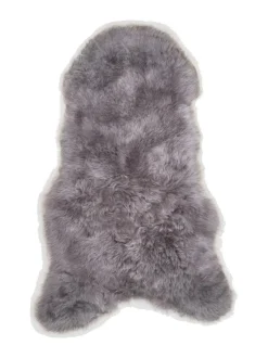 Islannin lyhytkarvainen lampaantalja