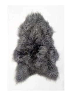 Islannin pitkäkarvainen lampaantalja