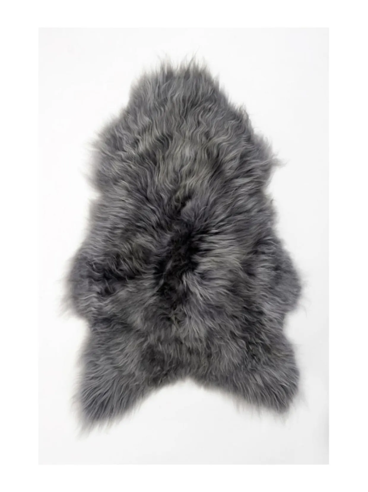 Islannin pitkäkarvainen lampaantalja