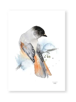 Juliste Kuukkeli 50x70 cm