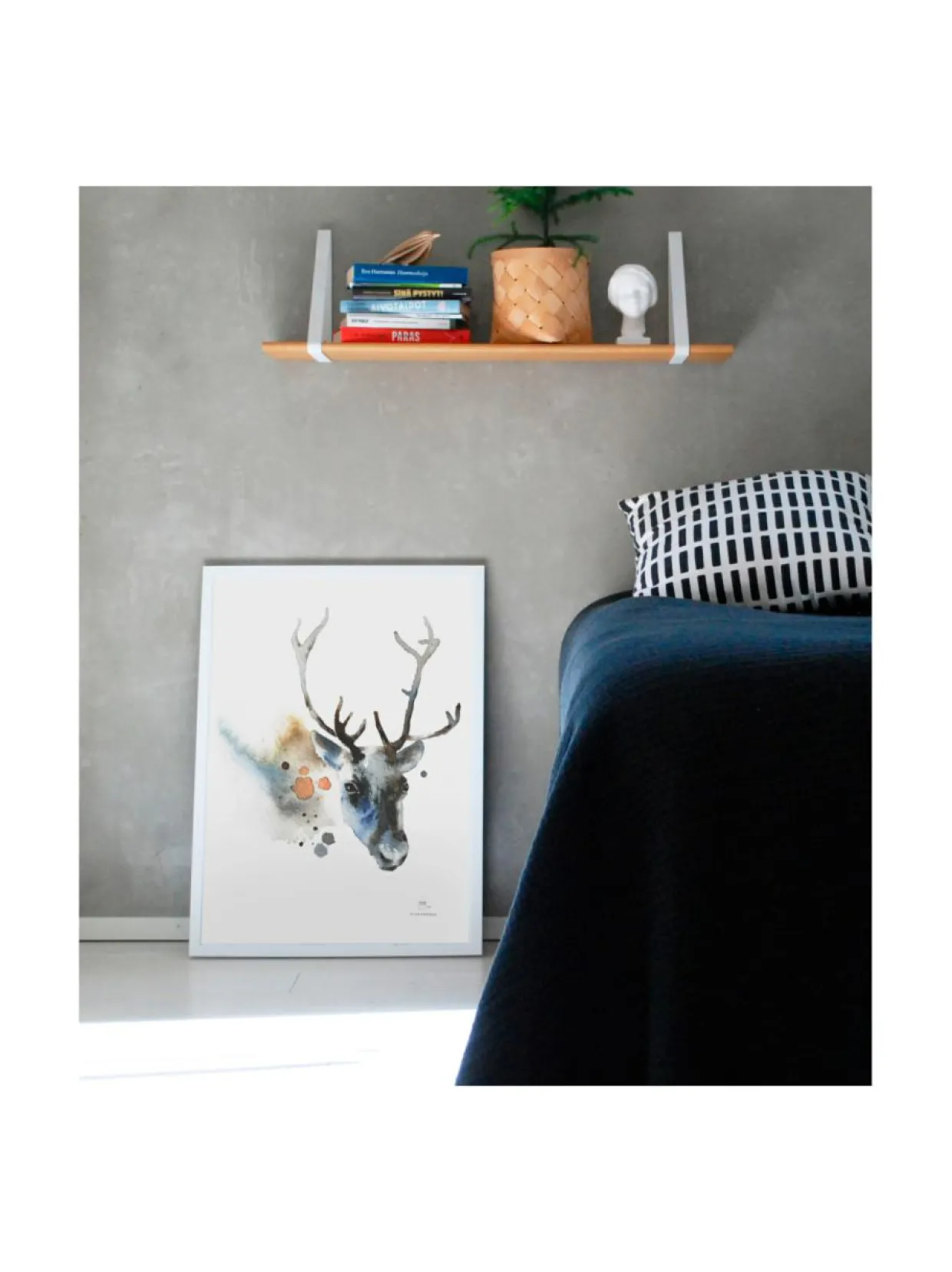 Juliste Poro 50x70 cm