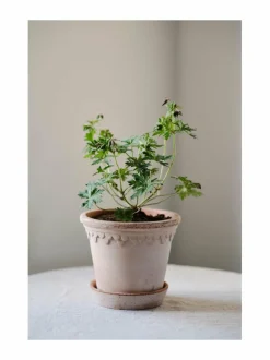 Københavner-ruukku Ø 14 cm