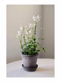 Københavner-ruukku Ø 14 cm