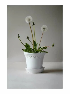 Københavner-ruukku 21 cm