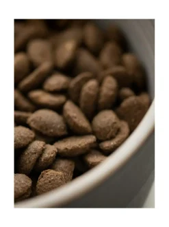 Koiran keraaminen ruokakulhosetti, 2 kulhoa, musta (alaspäin levenevät kulhot)