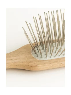 Koiran metallipiikkiharja