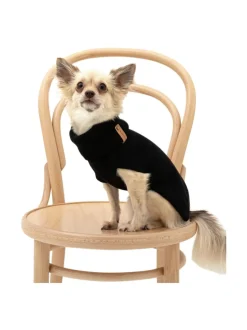 Koiran neule, sileä, musta