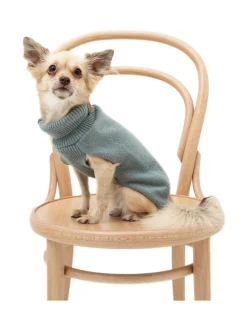 Koiran neule, sileä, vihreä