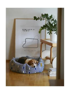 Koiranpeti Kanto x Johanna Gullichsen