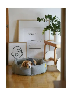 Koiranpeti Kanto x Johanna Gullichsen