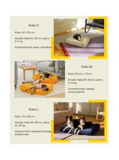 Koiranpeti Oksa Kanto x Kvadrat