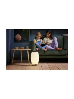 Kooduu Synergy 35 Stereo 2.0 - Jääpalat kaupan päälle!