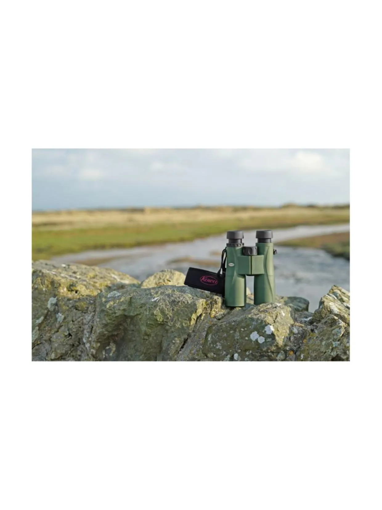 Kowa 10x50 SV II kiikarit