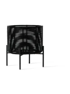 Kukkateline Ivo, M, Black