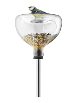 Lasinen lintulauta ja -kylpy