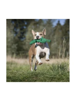 Lelupaketti #3 - Emma, Kalli, Franzi