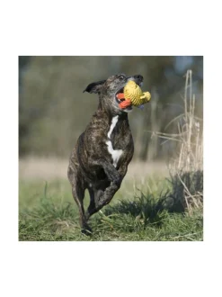 Lelupaketti #1 - Kurt, Emma, Kalmari