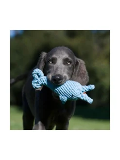 Lelupaketti #2 - Poldi, Didi, Franzi