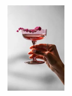 Like-samppanjalasit 2 kpl