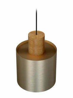 Log 20 -kattovalaisin