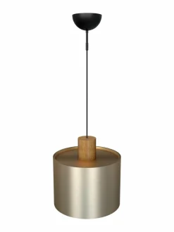 Log 30 -kattovalaisin