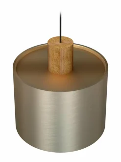 Log 30 -kattovalaisin