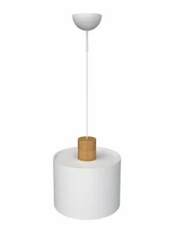 Log 30 -kattovalaisin