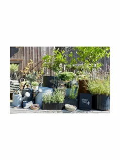 Lola-kastelukannu 3 l