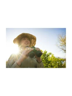 Nikon Prostaff P3 10x42 -kiikarit