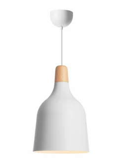 Odense-kattovalaisin