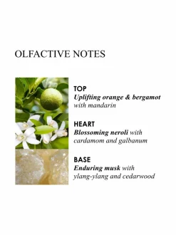 Orange & Bergamot Aroma Reeds -tuoksutikut 150 ml