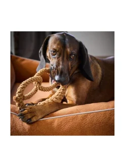 Ortho Buffalo ortopedinen koiranpeti - Vintage