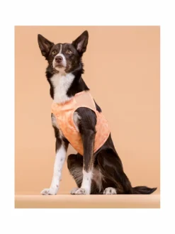 PAIKKA Cool Vest Peach