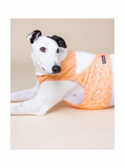 PAIKKA Cool Vest Peach