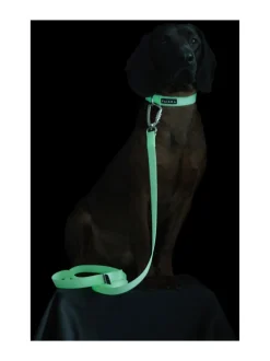 PAIKKA Glow Collar Pale Pink