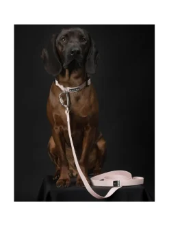 PAIKKA Glow Leash Pale Pink
