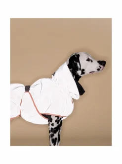 PAIKKA Reflective Shell Jacket Peach