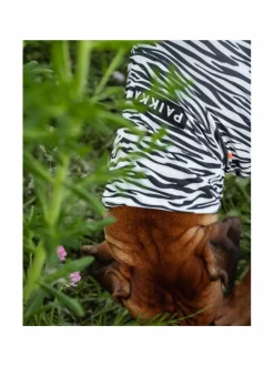 PAIKKA SS25 UV & Bug Shirt