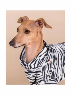 PAIKKA SS25 UV & Bug Shirt